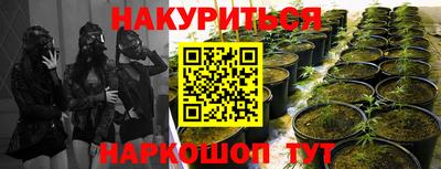 прущая мука Иваново