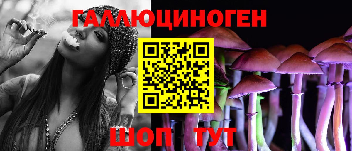 наркота  Псилоцибиновые грибы GOLDEN TEACHER  Вход с VPN  Богородицк 